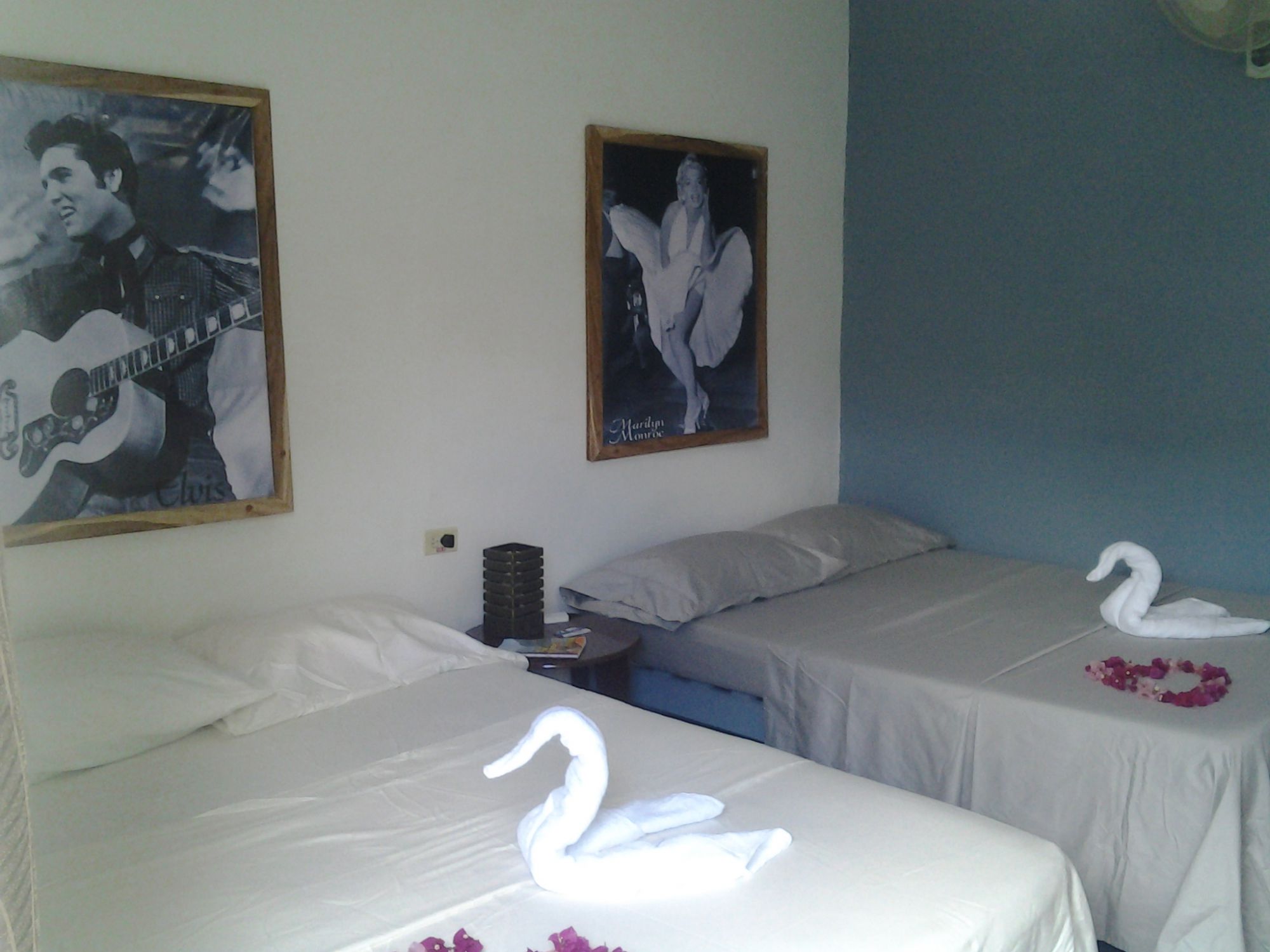 El Jardín de Daynelis Appartement 1